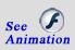 See Animation